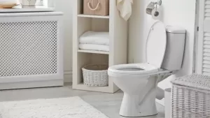 Read more about the article Waarom borrelt mijn toilet?