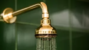Read more about the article 13 soorten douchekoppen die u voor uw badkamer kunt kopen