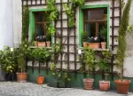 Read more about the article Hoe kan ik mooie trellis-ideen maken voor mijn huis?