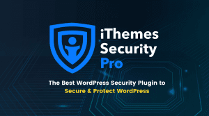 Read more about the article WordPress-beveiliging of hoe u uw WordPress-inlogpagina kunt beveiligen ?