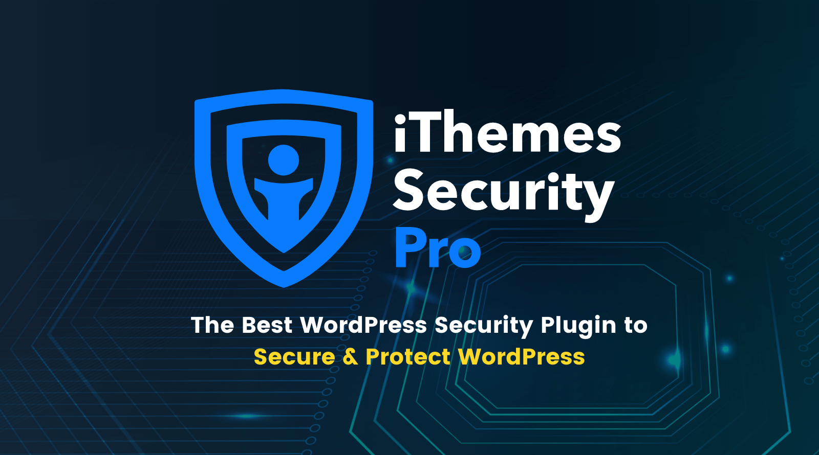You are currently viewing WordPress-beveiliging of hoe u uw WordPress-inlogpagina kunt beveiligen ?